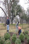 YMCA Tree Install