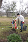YMCA Tree Install