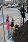 YMCA Tree Install