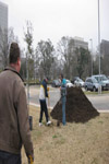 YMCA Tree Install