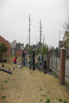 YMCA Tree Install