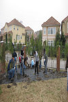YMCA Tree Install
