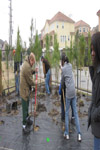 YMCA Tree Install