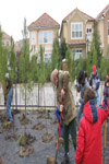 YMCA Tree Install