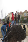 YMCA Tree Install