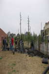 YMCA Tree Install