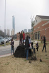 YMCA Tree Install