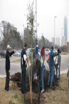 YMCA Tree Install