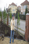 YMCA Tree Install