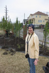 YMCA Tree Install