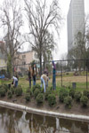 YMCA Tree Install