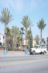 San Luis Rainforest Galveston