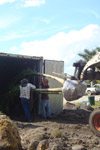 qatar- Tree Install