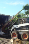 qatar- Tree Install