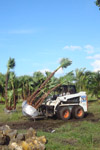 qatar- Tree Install