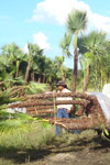 qatar- Tree Install