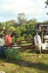 qatar- Tree Install