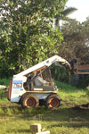 qatar- Tree Install