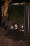 qatar- Tree Install