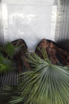qatar- Tree Install