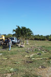 qatar- Tree Install